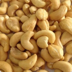 SW320 scorched white cashew kernels